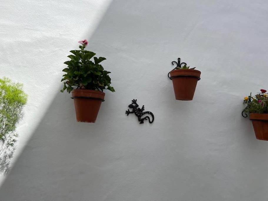 Casa Encantadora Olvera Esterno foto